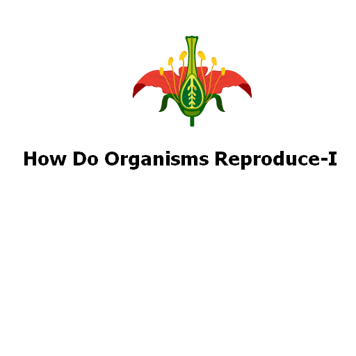 How Do Organisms Reproduce-I